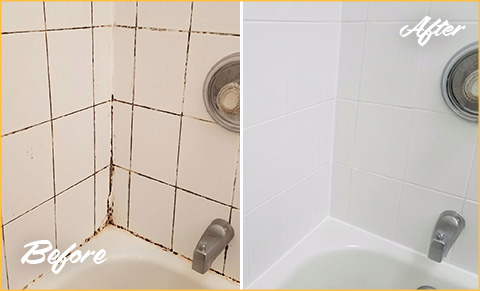 Our Tile and Grout Cleaners in Lakeview, IL, Brought This Dirty Bathroom  Back to Life