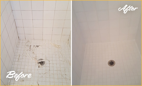 Our Chicago Grout Cleaning Professionals Gave This Shower a Brand