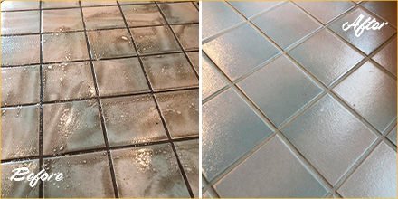 https://www.sirgroutchicago.com/pictures/pages/194/oak-park-tile-and-grout-cleaners-480.jpg